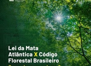 Lei da Mata Atlântica x Código Florestal Brasileiro